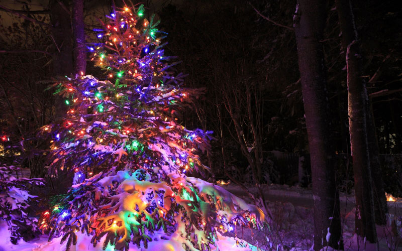 bright, christmas lights, christmas, xmas, new year, festival, light, night, christmas tree, holiday