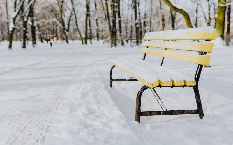 wintery park, white, outdoor, trees, park, winter, cold, snow, absence, nature, city, seat, bench, park bench