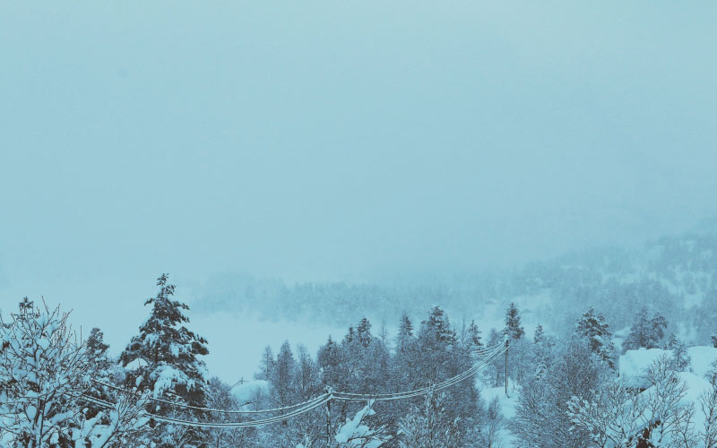 пейзаж, деревья, снег, дневное время, зима, холод, метель, природа