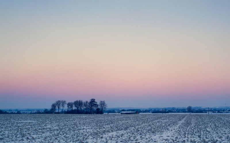 cold, snow, dawn, landscape, dusk, field, foggy, sunset, nature, winter