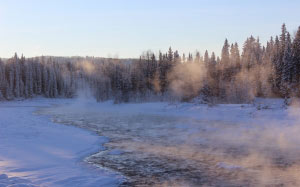холод, ели, туман, лес, замерзшее озеро, пейзаж, туман, природа, на открытом воздухе, река, снег, зима, деревья, мороз, пейзажи, небо, хвойные деревья