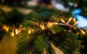 огни, дерево, украшение, рождество, новый год, размытие, новогодние огни, елка, крупный план, праздник, сосна, освещенный, ветка, хвойное дерево, новогодние украшения, хвоя