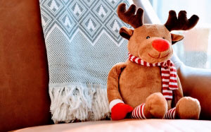 animal, christmas, xmas, cozy, cute, holiday, reindeer, sofa, toy, new year, teddy bear, sitting, softness