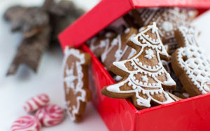 food, gingerbread, dessert, snack, speculoos, biscuit, cookies, crackers, baked, christmas decoration, confectionery, xmas, christmas, new year