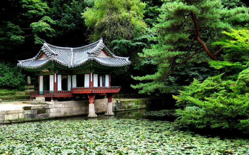 garden, park, nature, korea, seoul, trees