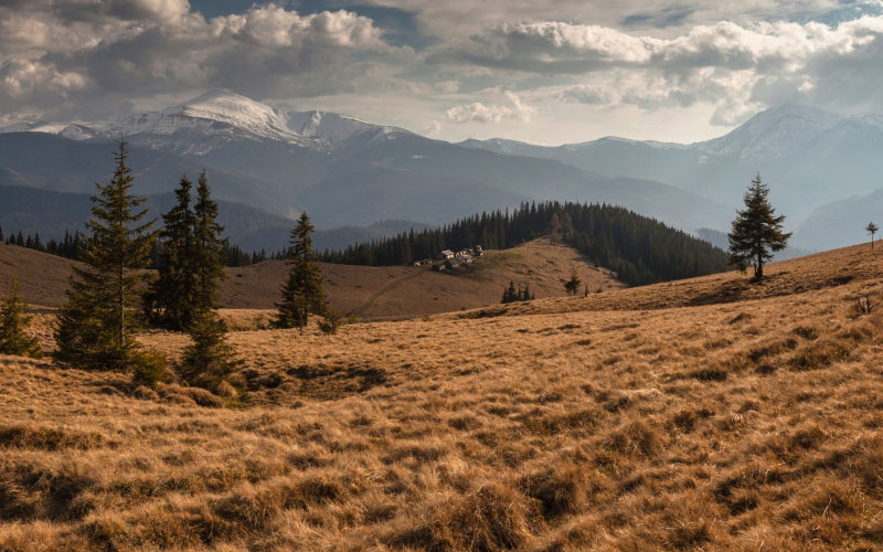 polonina hryhorivka, carpathian national nature park, nature, landscape, mountains, forest, clouds