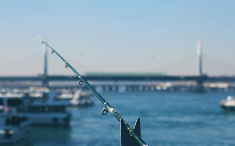 fishing, bay, sea, water, harbor, focus on foreground, hobby
