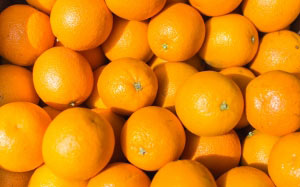 апельсины, свежий, заполненны кадр, фрукты, лето, цитрусовые, оранжевый