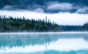 landscape, trees, water, nature, forest, wilderness, mountains, clouds, fog, mist, morning, lake, reflection, calm