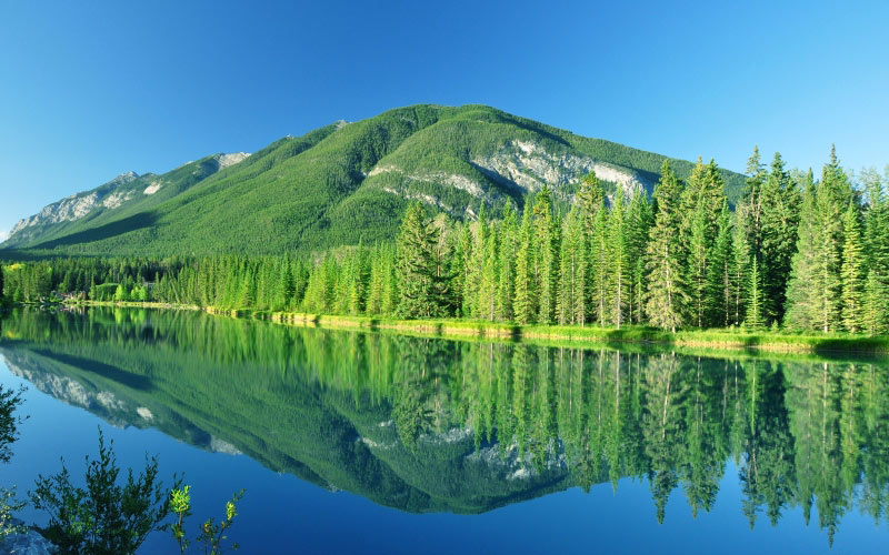 landscape, trees, nature, forest, wilderness, mountains, lake, pond, reflection, peaceful, park, canada