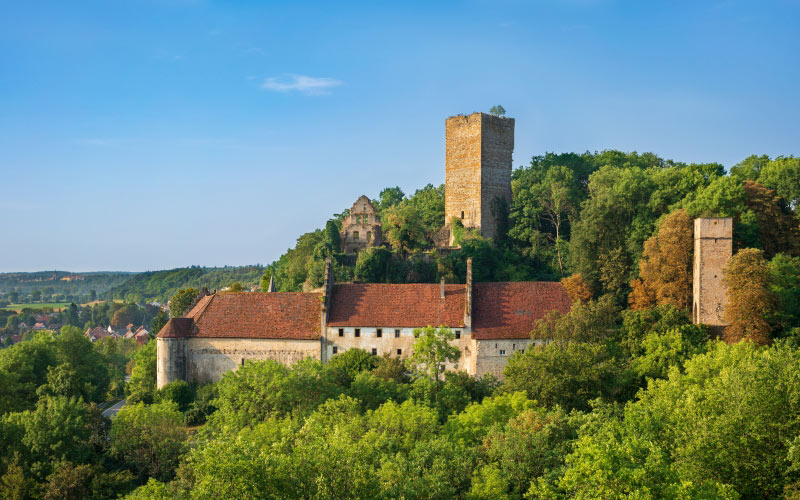 bad rappenau, germany, heinsheim, ehrenberg castle, castle, landscape, architecture, summer, trees