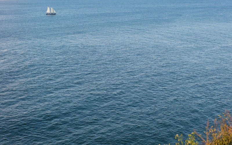 sailing boat, sea, blue, boat, nature, ocean, water, sailboat, sailing, yacht