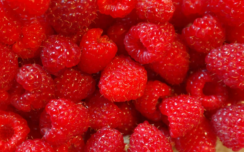 berries, food, fresh, fruits, healthy, raspberries, red, berry fruit, still life, juicy, close-up, raspberry