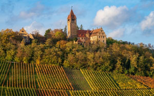 brackenheim, germany, stockheim, stocksberg, castle, vineyards, fall, autumn, landscape, architecture