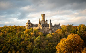 marienburg, castle, autum, evening, treetops, marienberg, architecture, fall, forest, landscape