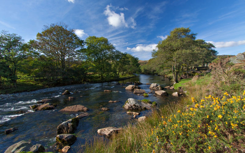 river, england, nature, summer, water, landscape, grass, flow, stream