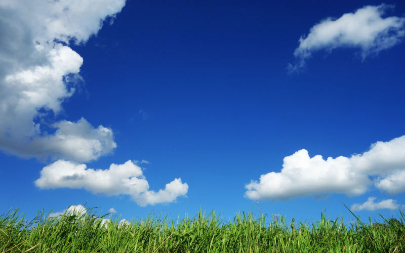 синий, голубое, небо, яркий, облака, сельский, поле, трава, зеленый, природа