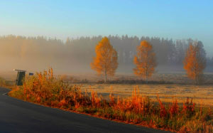 sky, landscape, fog, asphalt, sunrise, road, forest, field, mist, fall, autumn