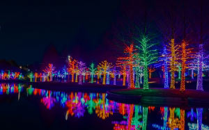 рождество, новый год, праздники, новогодние украшения, огни, парк, разноцветный, праздничный, деревья, ночь, пейзаж, вечер