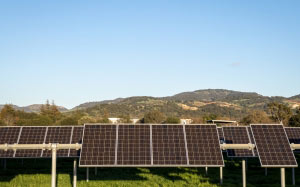 technology, electricity, energy, environment, generator, industry, modern, nature, panels, power, renewable, solar, sunlight