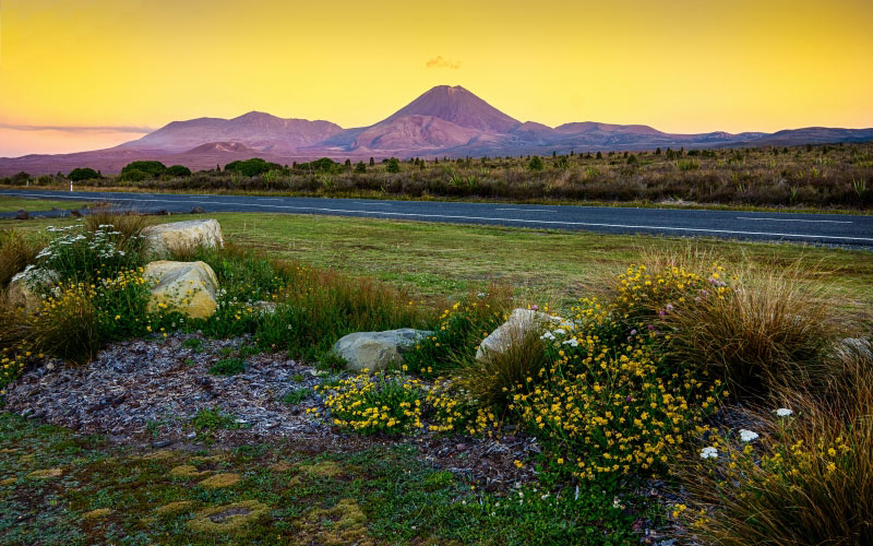 tongariro, volcano, lord of the rings, new zealand, landscape, nature, road