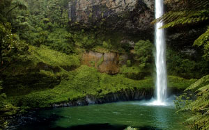природа, новая зеландия, водопад, дикая местность