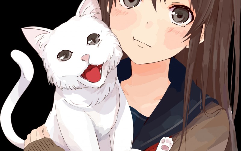cute, drawing, girl, cat, women, portrait, pet, kitten, painting, anime