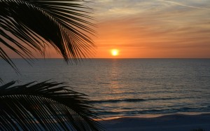 sunset, sea, palms, water, clouds, sky, beach, dusk, sunlight, ocean, red, horizon, landscape, shore, calm, heat, coast, tropics, evening, caribbean, vacation, bay