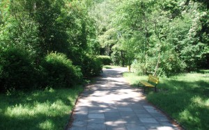 park, summer, green, nature, path, trees
