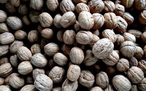 food, nuts, walnut, seeds, textures