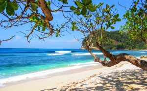 пляж, пейзаж, море, берег, вода, природа, песок, океан, небо, берег, волны, лето, отпуск, путешествие, расслабление, рай, деревья, тропический, лагуна, залив, остров, голубой, отдых, туризм, солнечно, релаксация, курорт, карибский бассейн, экзотика, тропики