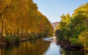 germany, river, neckar, autumn, fall, trees, landscape