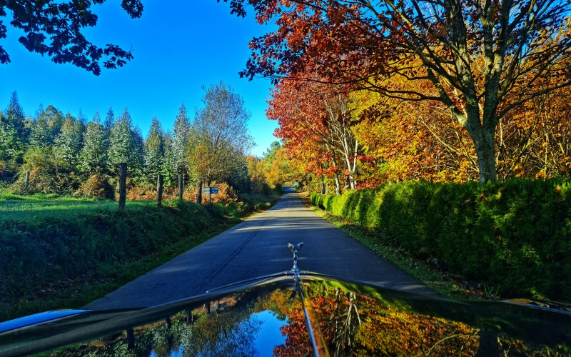autumn, sky, landscape, road, nature, asphalt, car, automobile, vehicle