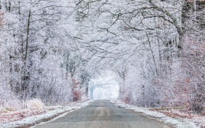 rural, road, winter, snow, frost, hoarfrost