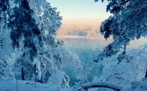 winter, snow, lake, water, frozen, hoarfrost