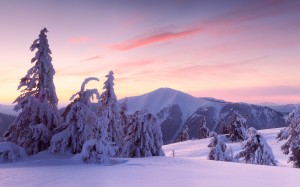 national natural park, synevyr, mount strymba, mountains, carpathians, transcarpathia, ukraine, landscape, winter, snow