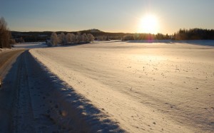 winterview, sweden, december, road, winter, snow, sunset, landscape, nature