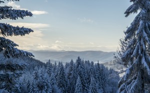 nature, landscape, mountains, slope, peaks, snow, forests, pine, trees, sky, clouds, horizon, blue, winter, cold, woodland, coniferous trees