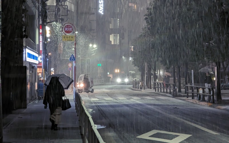city, snowfall, shibuya-ku, night, street, road, pedestrians, japan, people, man