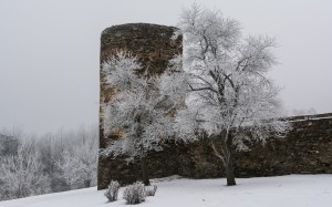 tower, monastery pernegg, lower austria, austria, landscape, architecture, winter, castle, hoarfrost, middle ages, snow
