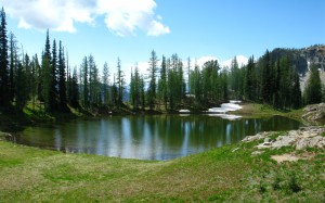 lake, summer, forest, trees, fir, subalpine, scenic, nature, landscape