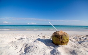 coconut, drink, beach, landscape, travel, ocean, relax, trip, vacation, sand, sea, water, straw, horizon, food and drink, fruit, nut, sky, nature, tropical, outdoors