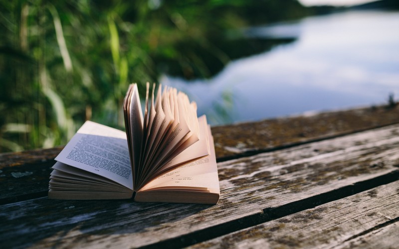 lake, reading, book, summer, pier, evening, wooden, literature, education, pages, learning, nature, wisdom, paper, novel, hardcover, open, outdoors, water, selective focus, close-up, focus on foreground, trees, tranquility, lake