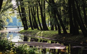 park, summer, nature, walk, riverside, trees, water, forest, outdoors, tranquil, lake, bridge, landscape, river, scenics, woodland, green, tranquility, swamp