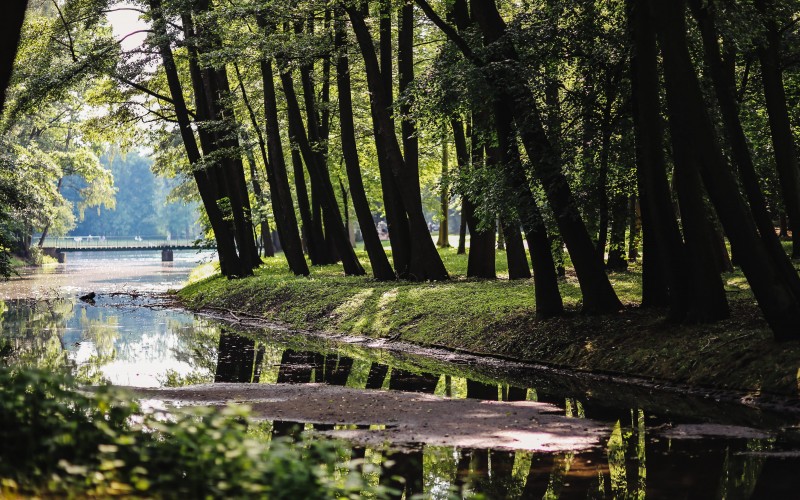 park, summer, nature, walk, riverside, trees, water, forest, outdoors, tranquil, lake, bridge, landscape, river, scenics, woodland, green, tranquility, swamp