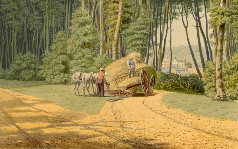 william james bennett, george harvey, summer, road, road accident, painting, art