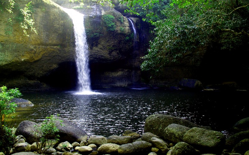 landscape, nature, water, creek, flow, forest, green, jungle, moss, outdoors, plants, rocks, stones, stream, waterfalls, wet, wild, woodland, woods, scenics, trees, rainforest