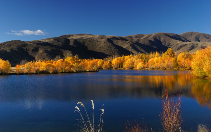 landscape, nature, lake, new zealand, south island, hills, stunning