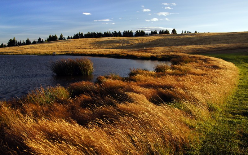 landscape, water, nature, grass, marsh, wilderness, sunset, field, meadow, prairie, shore, lake, river, pond, autumn, grassland