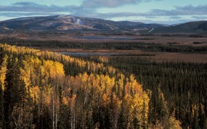 autumn, fall, landscape, nature, clouds, mountains, forest, trees